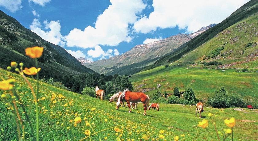 Vila Garni Flori Längenfeld Pokoj fotografie